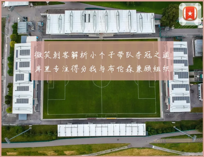 微笑刺客解析小个子带队夺冠之道库里专注得分我与布伦森兼顾组织与得分